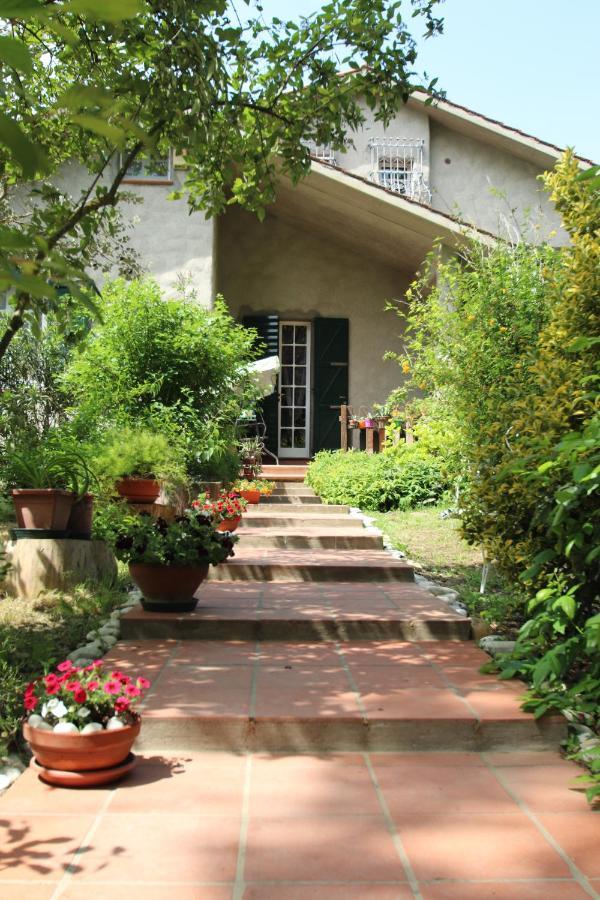 La Casa Nel Bosco Bed & Breakfast ซาวิโอ ดิ ราเวนนา ภายนอก รูปภาพ