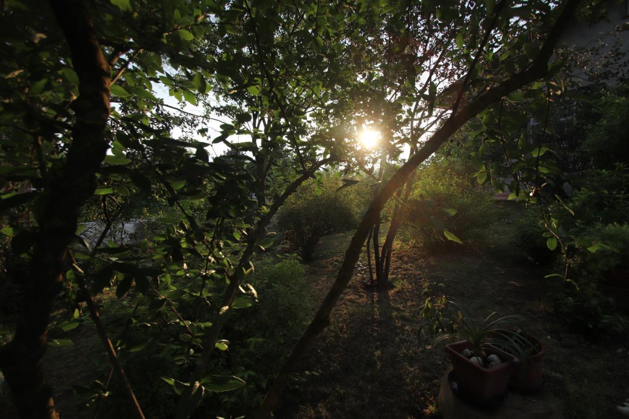 La Casa Nel Bosco Bed & Breakfast ซาวิโอ ดิ ราเวนนา ภายนอก รูปภาพ
